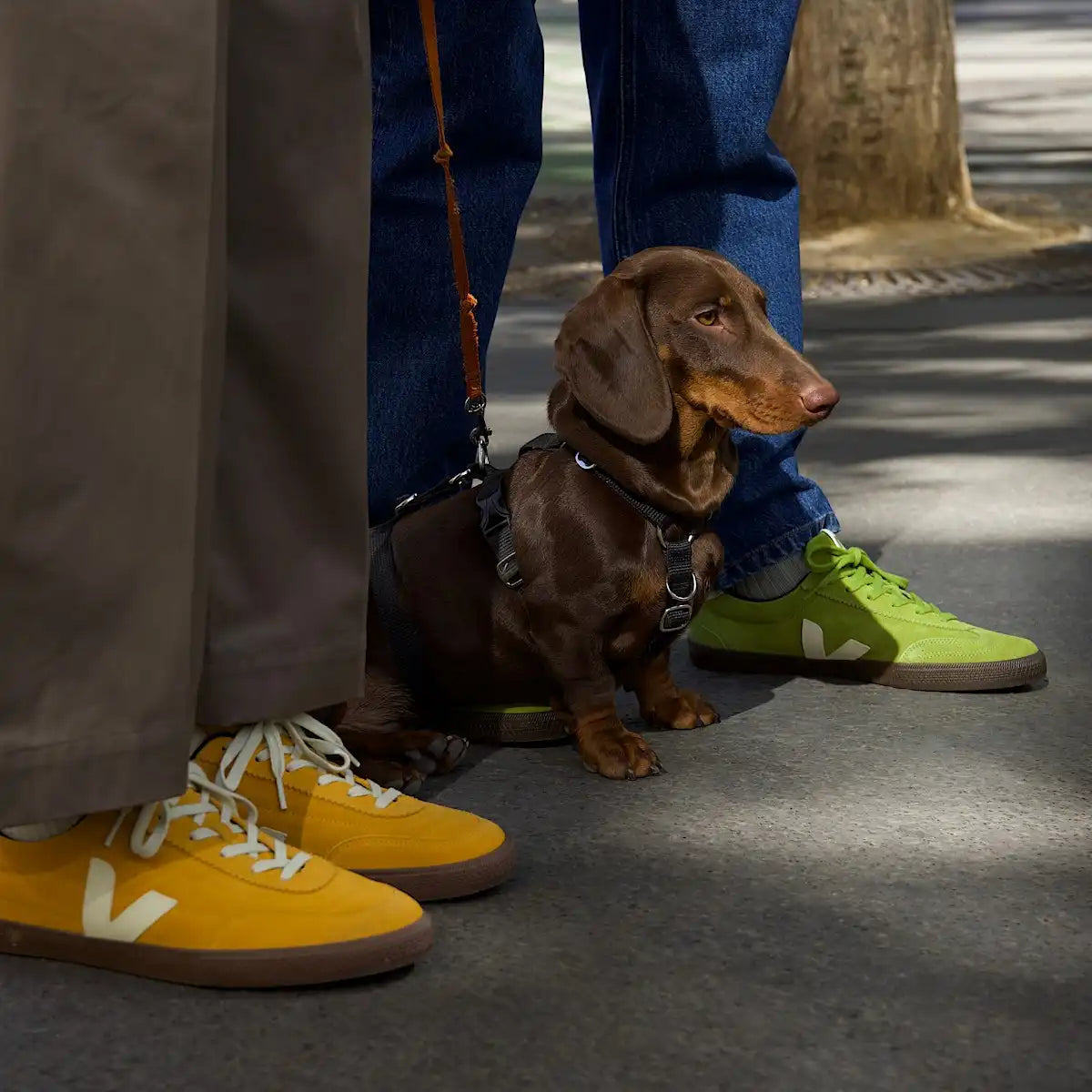 VOLLEY SUEDE DETOX PIERRE EAGLE